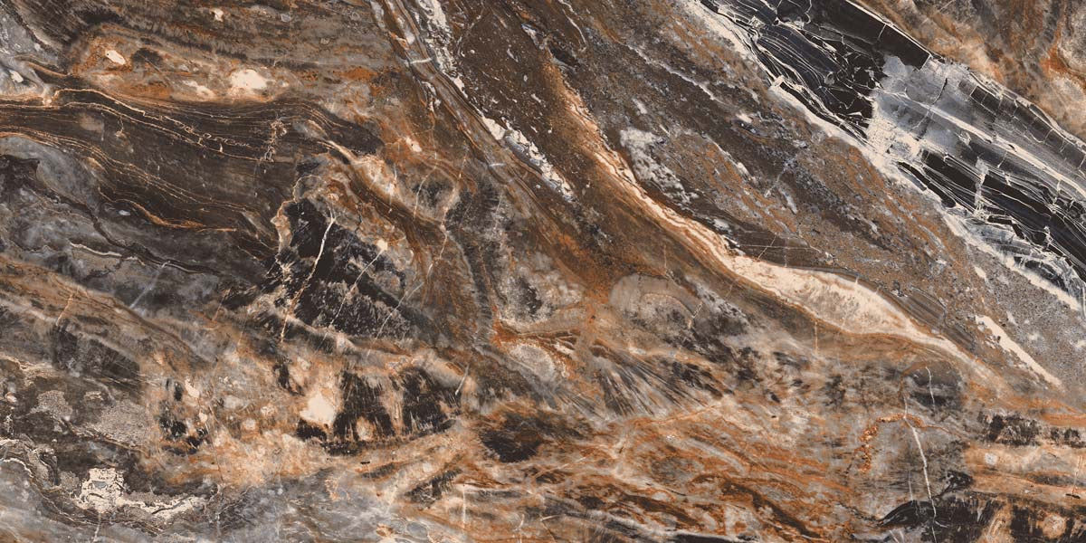 Fossil Nero