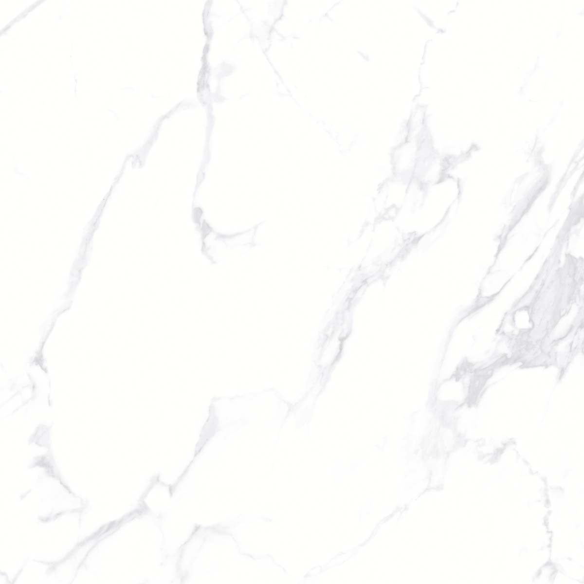 Carrara Pearl
